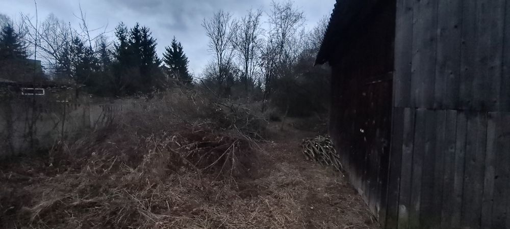 Oddam za darmo gałęzie cieńkie i grube, mix.