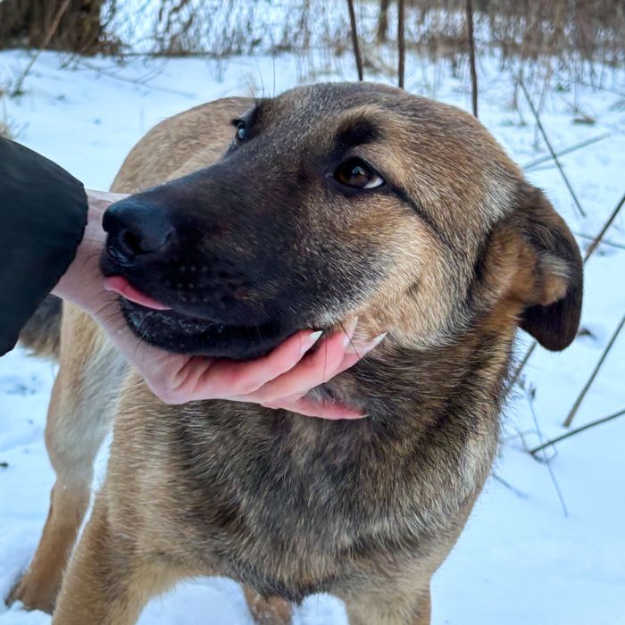 Дівчатка схожі на малінуа в добрі руки