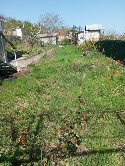 Продам дачу Алтестово или поменяю на пасеку.