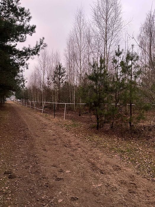 Dębinki (koło Serocka) działka budowlana 3007m2.