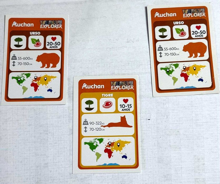 3 Cartas National Geographic Kids - Tigre & Urso