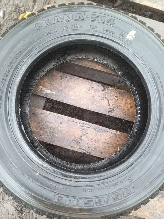 Кама-514 175/65 під шип