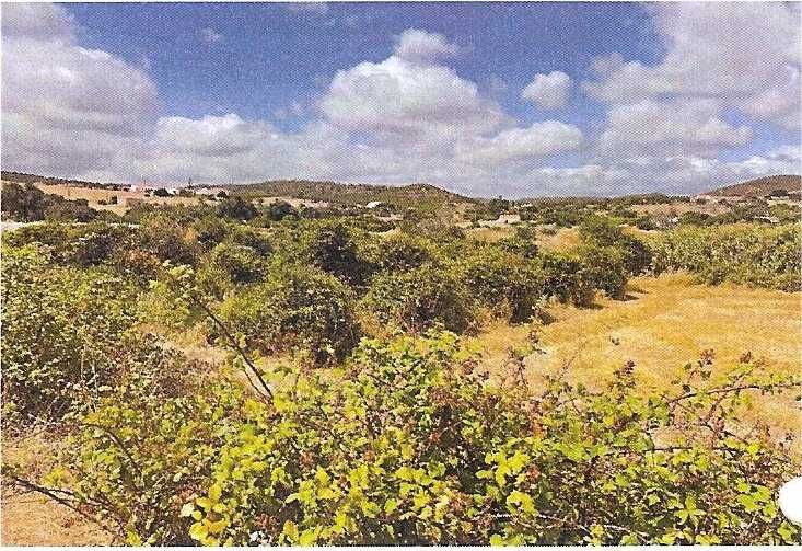 Moradia Rústica com Terreno Amplíssimo – Cotifo, Lagos/ Barão S. João