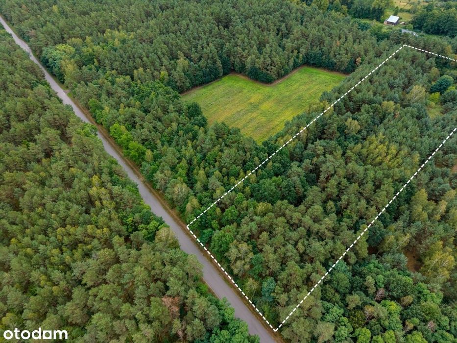 Otulona lasem – wyjątkowa działka 1,35 ha