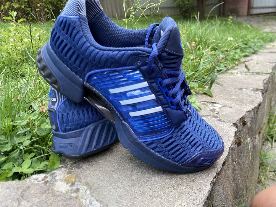 Adidas Climacool 1