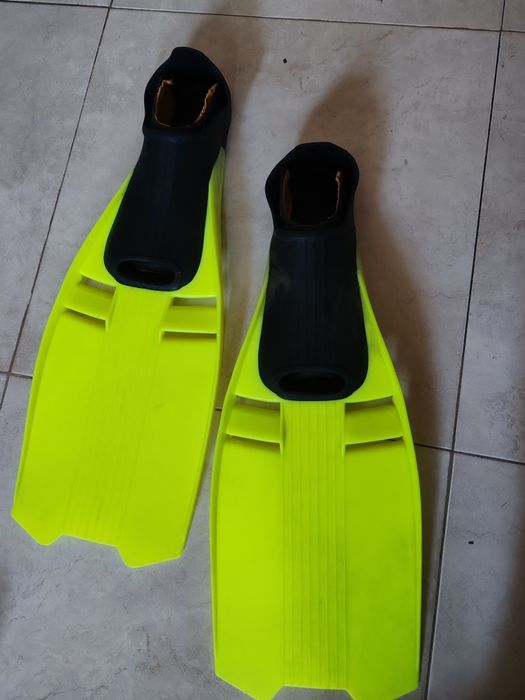 Barbatanas, pés de Pato