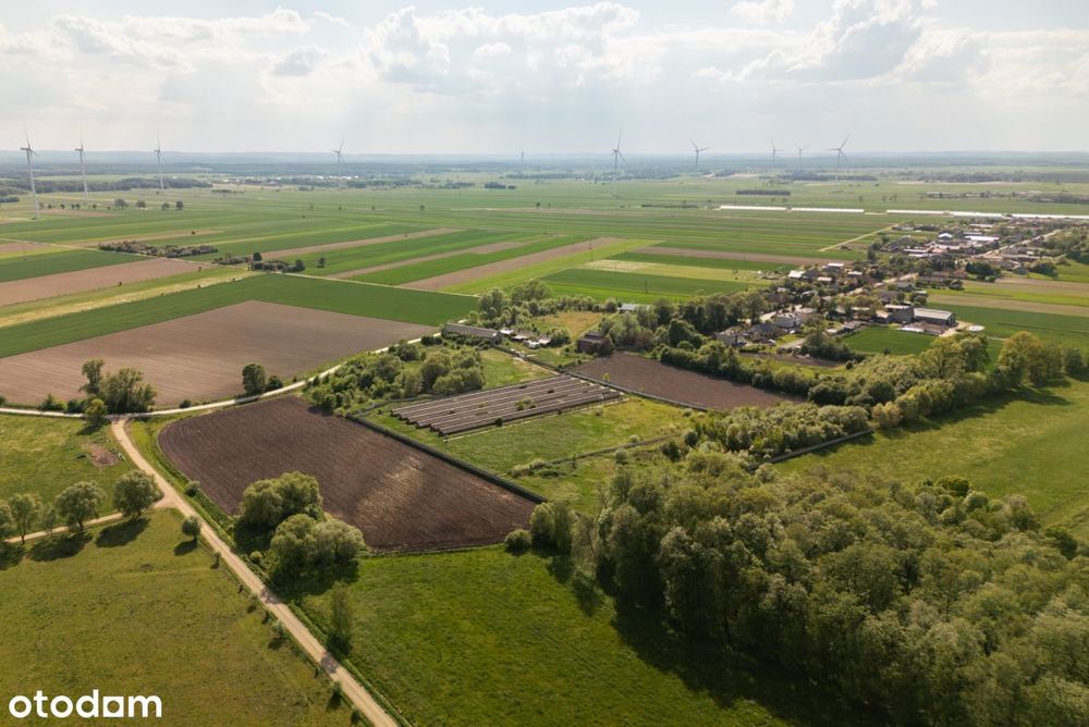 9,25 ha terenu inwestycyjnego z zabudowaniami - Widok 3