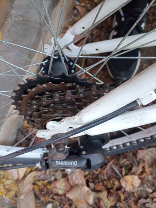 2 Bicicletas WBT World Bike Tour	Adulto -   Pouco Uso*