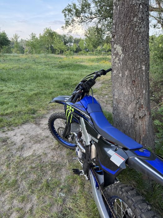 450YZF Edition Monster 2021
