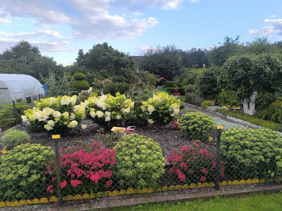 Działka ROD Goleniów