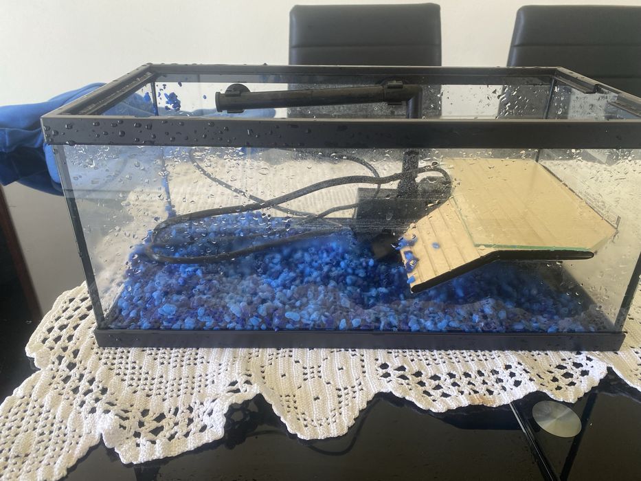 Aquaterrario para tartaruga