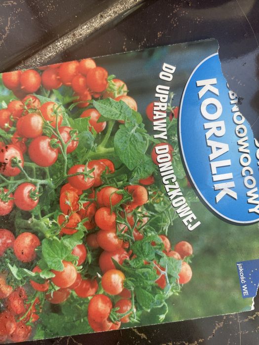 Sadzonki pomidorow  red cherry koralik