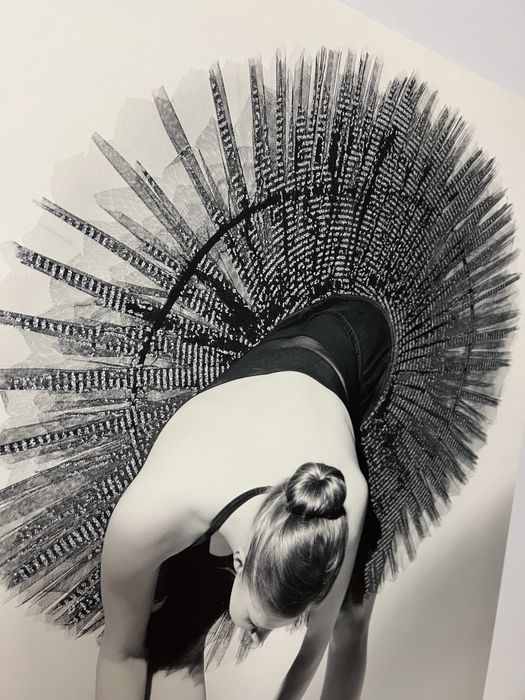 Obraz Baletnica.  80/60