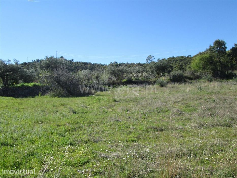 Terreno / Fundão, Telhado — Telhado, Castelo Branco
