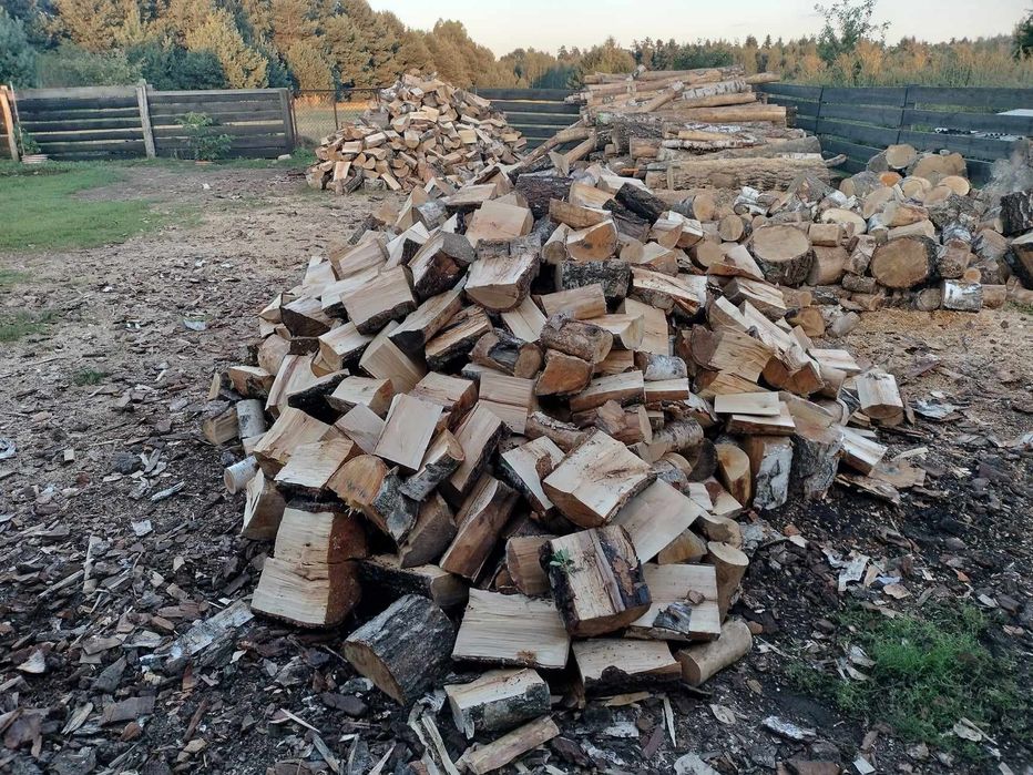 Brzoza opałowa 230zł