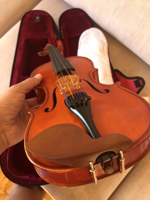 Violino infantil iniciante