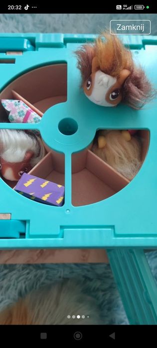 Little live pets świnka z młodymi