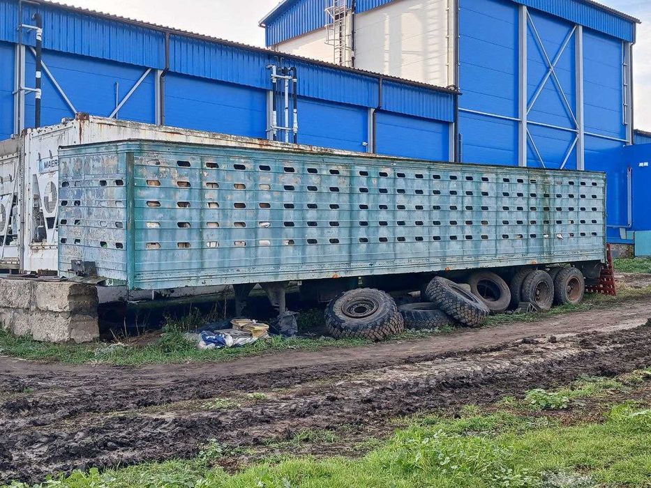 Продам прицеп-скотовоз