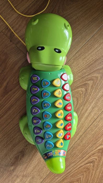Edukacyjny aligator
