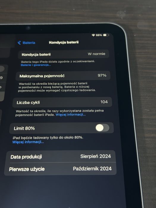 iPad mini 6 (2024) Space Gray | Stan IDEALNY | 97%