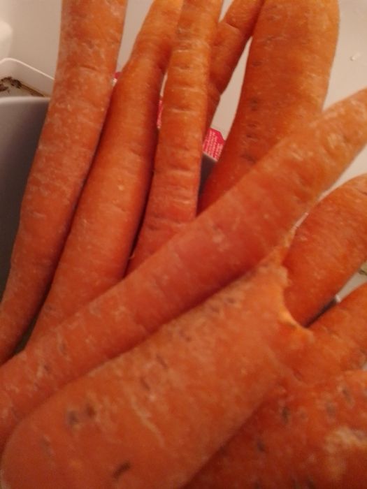 Miúdos contra o plástico-Martin dorey-1e-N.Letras7E-Cenouras3EDesde2E.