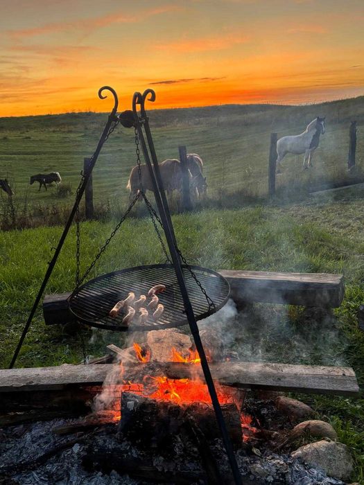 Leśny Zakątek – Mazury / Warmia – Domek nad jeziorem Dadaj – Ramsowo