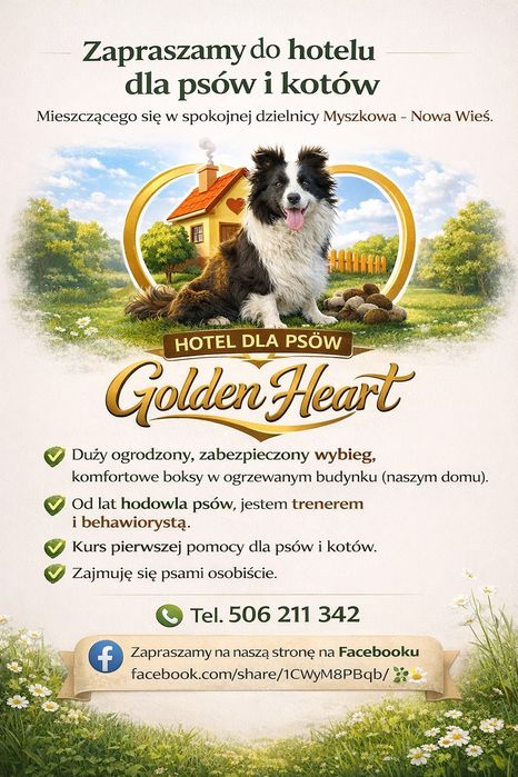 Hotel dla psów i kotów tresura