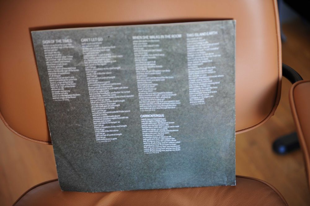 Bryan Ferry - The Bride Stripped Bare (Vinil)