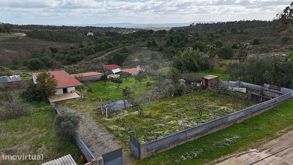 Plot for Sale
