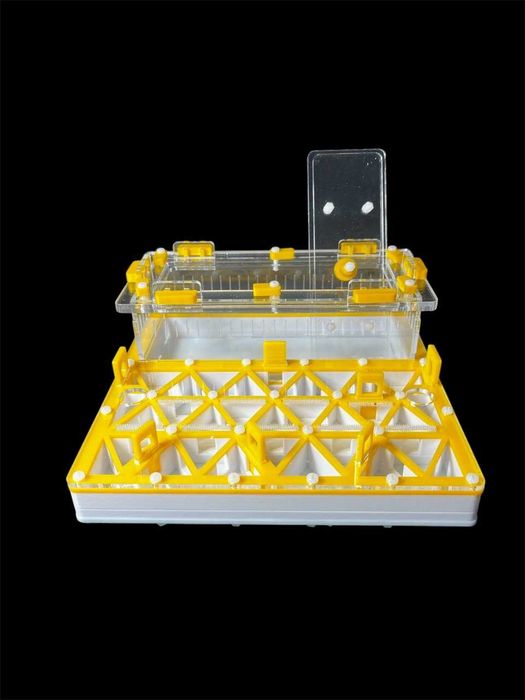 Профессиональная муравьиная ферма формикарий для муравьев в Украине