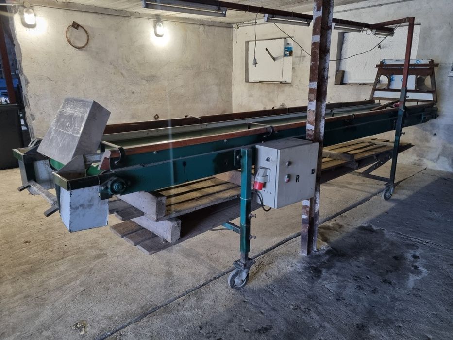 Stół selekcyjny przebierczy taśmociąg