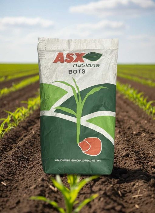 Nasiona kukurydzy BOTS FAO 250-260 – wysoki plon | ZIARNO