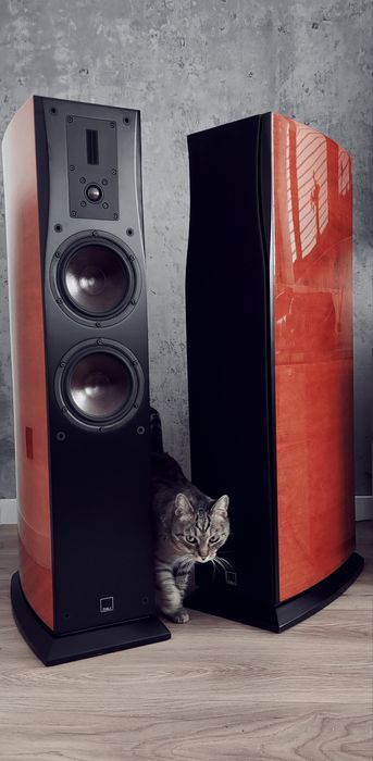 Dali Helicon 400 - super jakość w niskiej cenie !