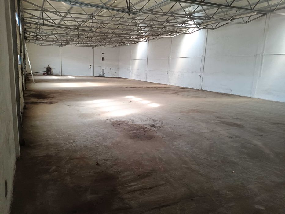 Hala, Magazyn do wynajęcia