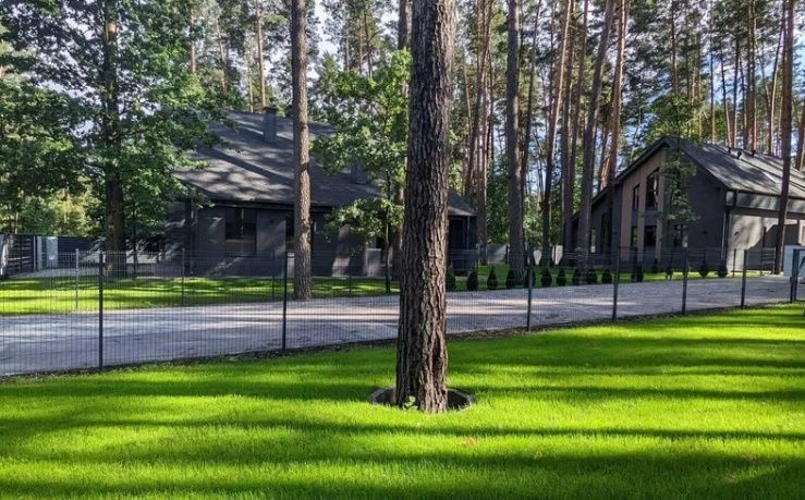 Будинок серед лісу