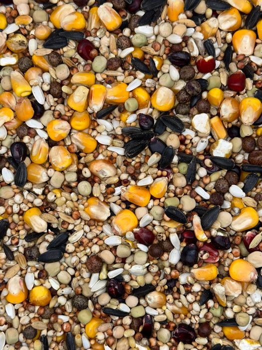 KARMA DLA GOŁĘBI RL rozpłodowa lotowa FLORCZYK 25kg