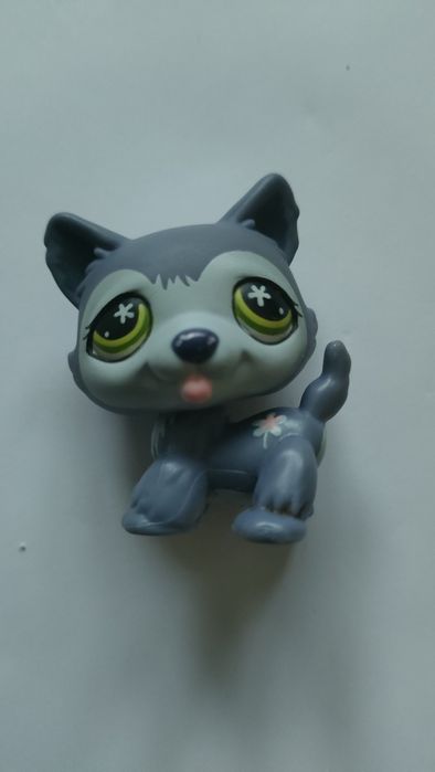 Piesek husky Littlest Pet Shop LPS