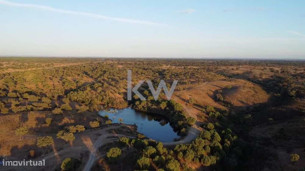 Refúgio Ideal no Alentejo: Investimento único com Potencial Agrícola e