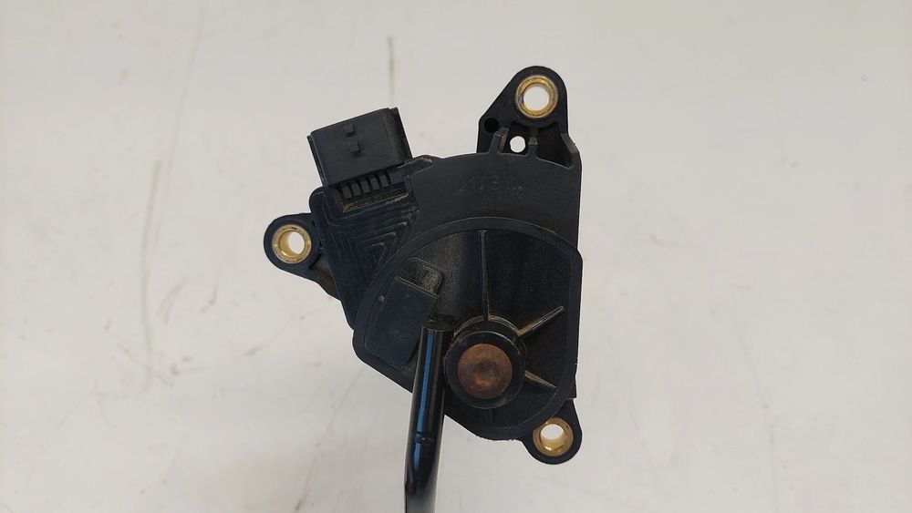 Pedal do acelerador RENAULT Megane III Grandtour (KZ0/1)