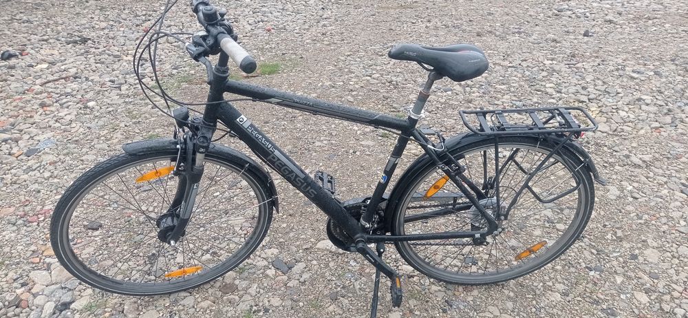 Pegasus Piazza 28 cali