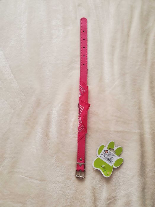 Coleira de cão cor de rosa