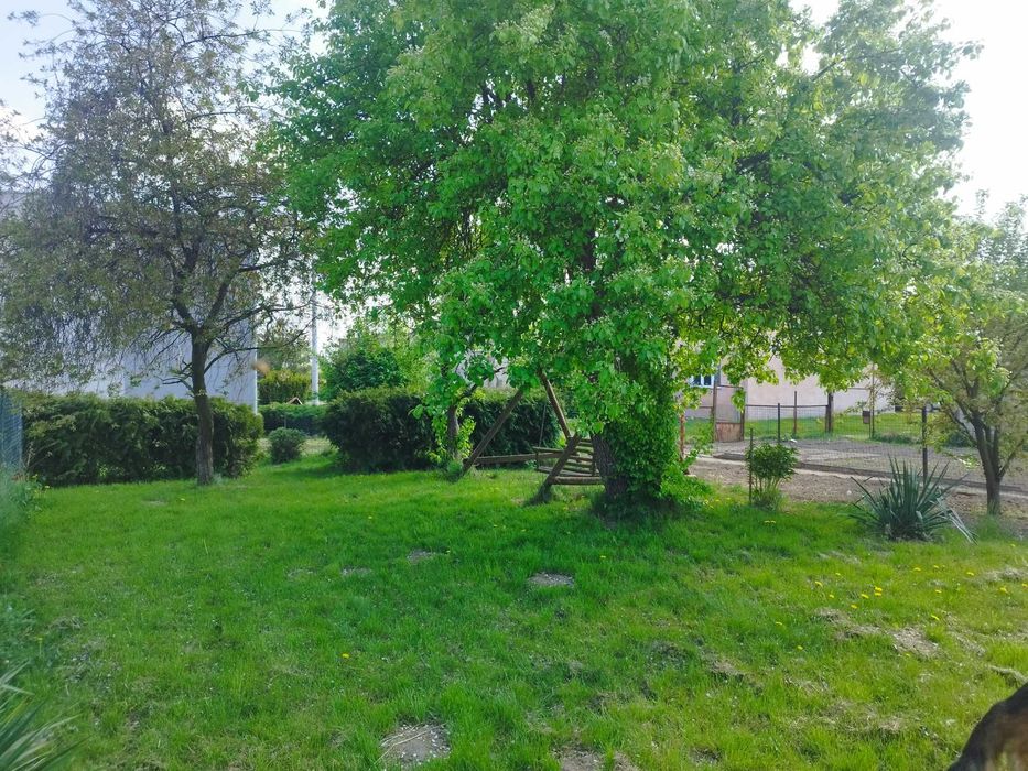 Mieszkanie 54 m2 bezczynszowe Skarpa/ Sępólno Krajeńskie