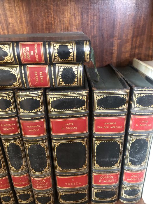 Varios autores de renome nacionais e internacionais