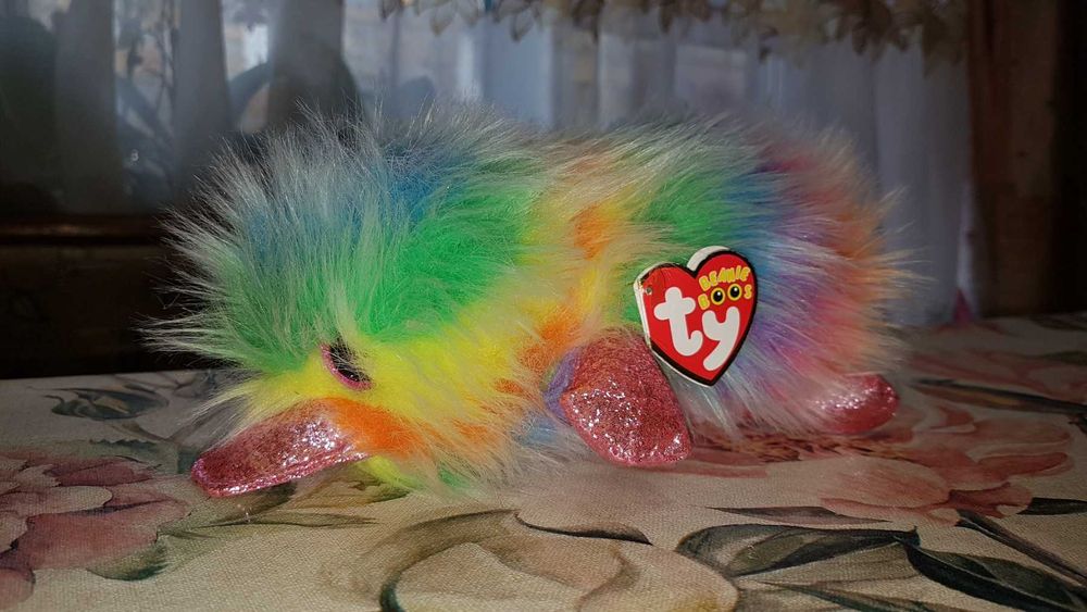 TY Beanie Boos глазастики, пучеглазики ехидна/утконос яркая PIPPA 15
