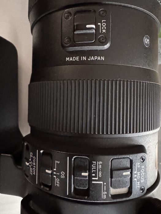 Sigma 60-600 F 4.5-6.3DG  OS HSM +Nikon D 810