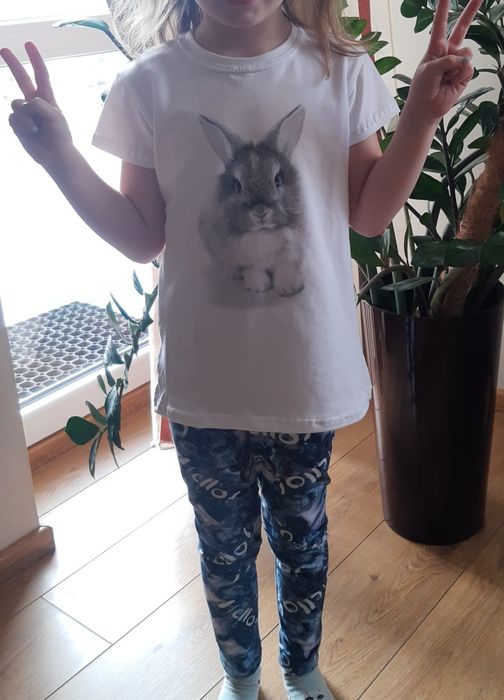 Bawełniany t-shirt z królikiem r104