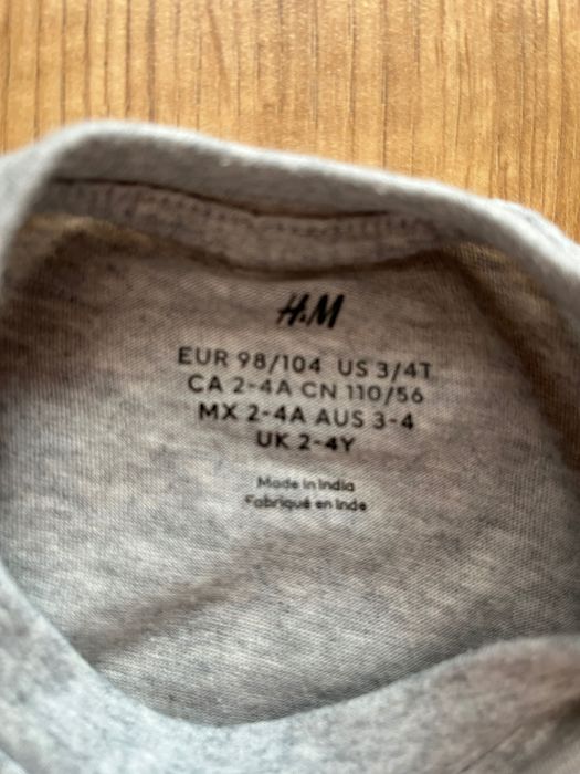 Koszulka długi rękaw szara dinozaury dla chłopca, roz 98/104, H&M