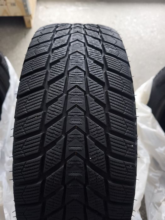 NEXEN WinGuard ice Plus WH43 195/65R15 95T