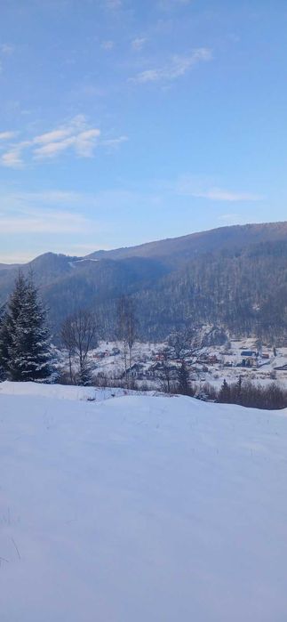 Продаю унікальну ділянку в Шешорах. 910 соток