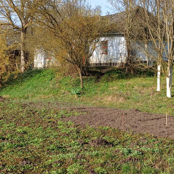 Продам земельну ділянку з хатиною